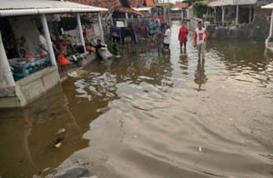 Ribuan Warga Rumbai Mengungsi Akibat Banjir Rob